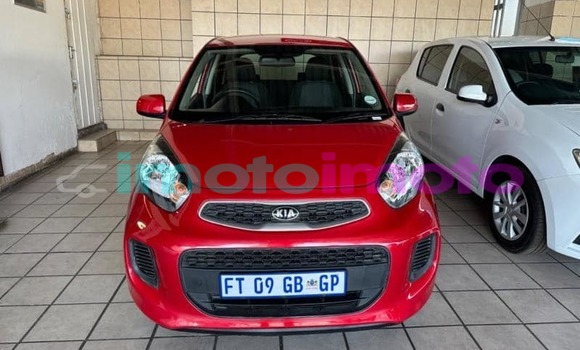 Buy Used Kia Picanto Red Car in Pretoria in Gauteng Buy Used Kia Picanto Red Car in Pretoria in Gauteng