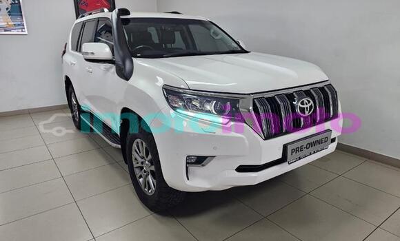 Buy Used Toyota Land Cruiser Prado White Car in Gauteng in Gauteng Buy Used Toyota Land Cruiser Prado White Car in Gauteng in Gauteng