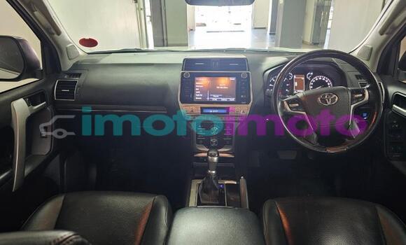 Buy Used Toyota Land Cruiser Prado White Car in Gauteng in Gauteng Buy Used Toyota Land Cruiser Prado White Car in Gauteng in Gauteng