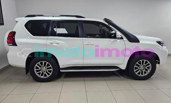 Buy Used Toyota Land Cruiser Prado White Car in Gauteng in Gauteng Buy Used Toyota Land Cruiser Prado White Car in Gauteng in Gauteng