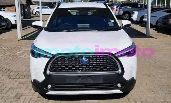 Buy Used Toyota Corolla White Car in Gauteng in Gauteng Buy Used Toyota Corolla White Car in Gauteng in Gauteng