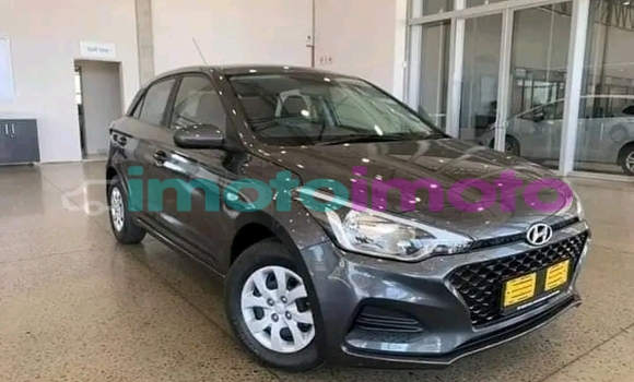Buy Used Hyundai i20 Blue Car in Ermelo in Mpumalanga Buy Used Hyundai i20 Blue Car in Ermelo in Mpumalanga
