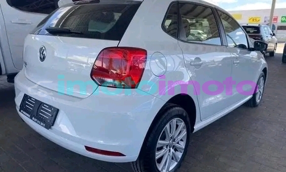 Buy Used Volkswagen Polo White Car in Alberton in Gauteng Buy Used Volkswagen Polo White Car in Alberton in Gauteng