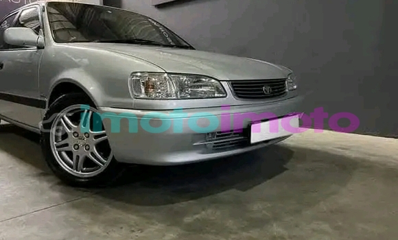Buy Used Toyota Corolla Other Car in Alberton in Gauteng Buy Used Toyota Corolla Other Car in Alberton in Gauteng