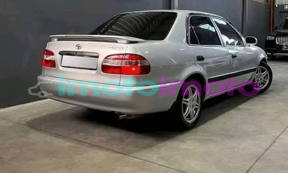 Buy Used Toyota Corolla Other Car in Alberton in Gauteng Buy Used Toyota Corolla Other Car in Alberton in Gauteng
