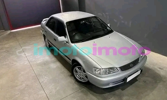 Buy Used Toyota Corolla Other Car in Alberton in Gauteng Buy Used Toyota Corolla Other Car in Alberton in Gauteng