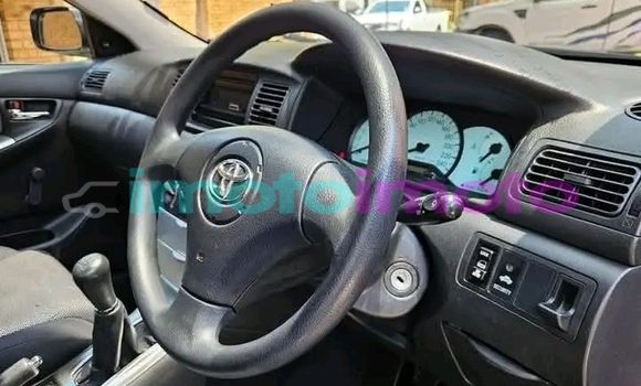 Buy Used Toyota Runx White Car in Alberton in Gauteng Buy Used Toyota Runx White Car in Alberton in Gauteng