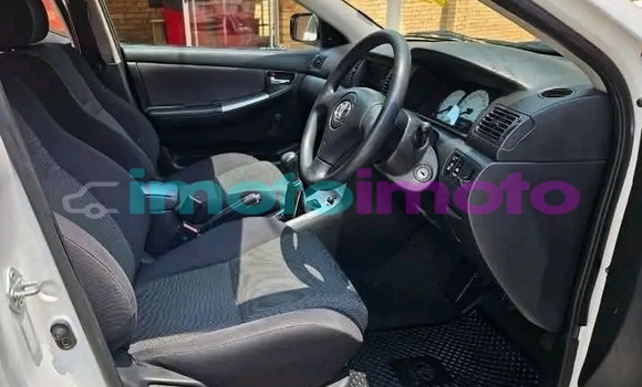 Buy Used Toyota Runx White Car in Alberton in Gauteng Buy Used Toyota Runx White Car in Alberton in Gauteng