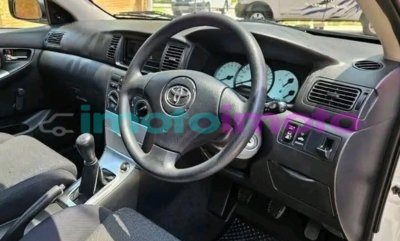 Buy Used Toyota Runx White Car in Alberton in Gauteng Buy Used Toyota Runx White Car in Alberton in Gauteng