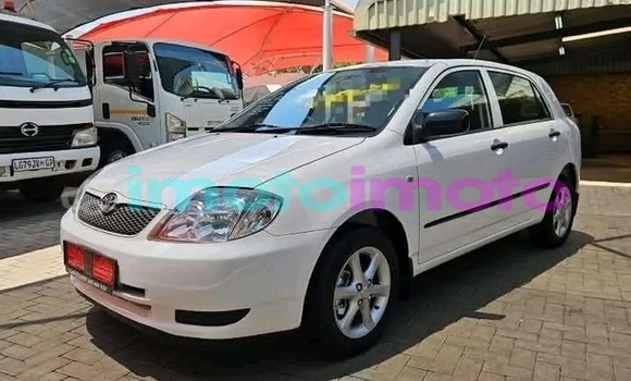 Buy Used Toyota Runx White Car in Alberton in Gauteng Buy Used Toyota Runx White Car in Alberton in Gauteng