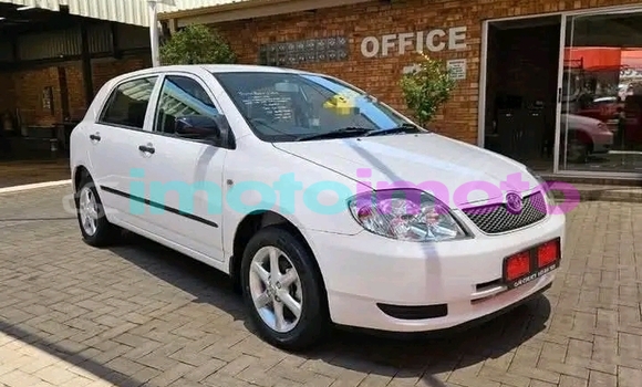Buy Used Toyota Runx White Car in Alberton in Gauteng Buy Used Toyota Runx White Car in Alberton in Gauteng