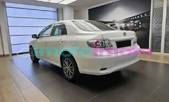 Buy Used Toyota Corolla White Car in Alberton in Gauteng Buy Used Toyota Corolla White Car in Alberton in Gauteng