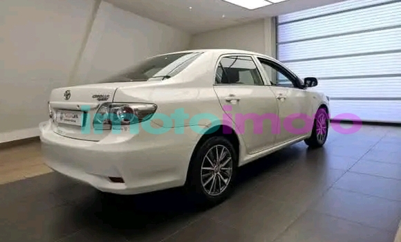Buy Used Toyota Corolla White Car in Alberton in Gauteng Buy Used Toyota Corolla White Car in Alberton in Gauteng