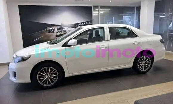 Buy Used Toyota Corolla White Car in Alberton in Gauteng Buy Used Toyota Corolla White Car in Alberton in Gauteng