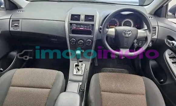 Buy Used Toyota Corolla White Car in Alberton in Gauteng Buy Used Toyota Corolla White Car in Alberton in Gauteng