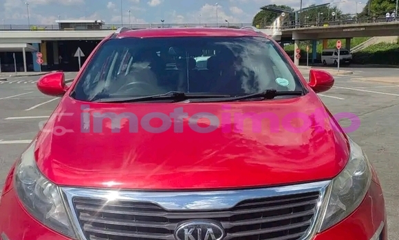 Buy Used Kia Sportage Red Car in Boksburg in Gauteng Buy Used Kia Sportage Red Car in Boksburg in Gauteng