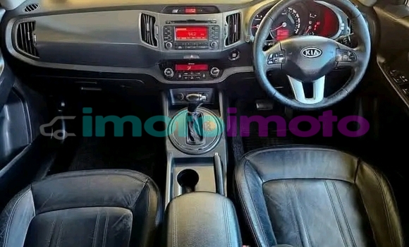 Buy Used Kia Sportage Red Car in Duiwelskloof in Limpopo Buy Used Kia Sportage Red Car in Duiwelskloof in Limpopo