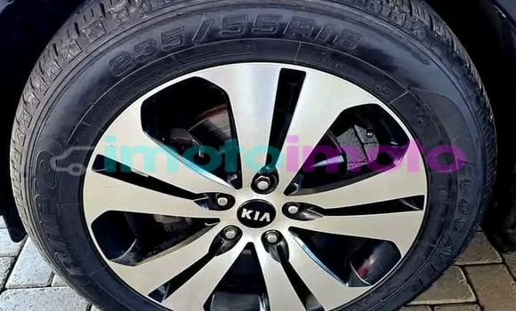 Buy Used Kia Sportage Red Car in Duiwelskloof in Limpopo Buy Used Kia Sportage Red Car in Duiwelskloof in Limpopo