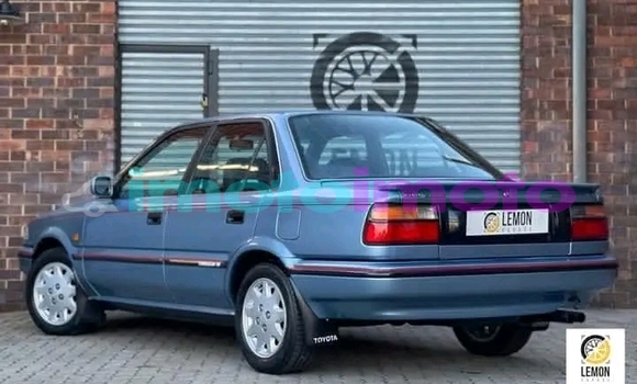 Buy Used Toyota Corolla Other Car in Ellisras in Limpopo Buy Used Toyota Corolla Other Car in Ellisras in Limpopo