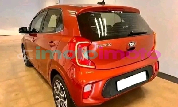Buy Used Kia Picanto Orange Car in Boksburg in Gauteng Buy Used Kia Picanto Orange Car in Boksburg in Gauteng