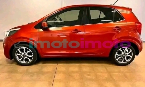 Buy Used Kia Picanto Orange Car in Boksburg in Gauteng Buy Used Kia Picanto Orange Car in Boksburg in Gauteng