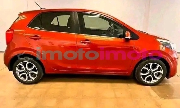 Buy Used Kia Picanto Orange Car in Boksburg in Gauteng Buy Used Kia Picanto Orange Car in Boksburg in Gauteng