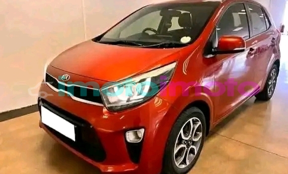Buy Used Kia Picanto Orange Car in Boksburg in Gauteng Buy Used Kia Picanto Orange Car in Boksburg in Gauteng