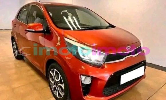Buy Used Kia Picanto Orange Car in Boksburg in Gauteng Buy Used Kia Picanto Orange Car in Boksburg in Gauteng