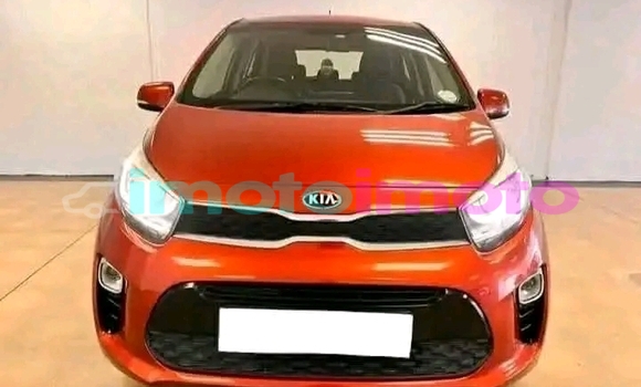 Buy Used Kia Picanto Orange Car in Boksburg in Gauteng Buy Used Kia Picanto Orange Car in Boksburg in Gauteng