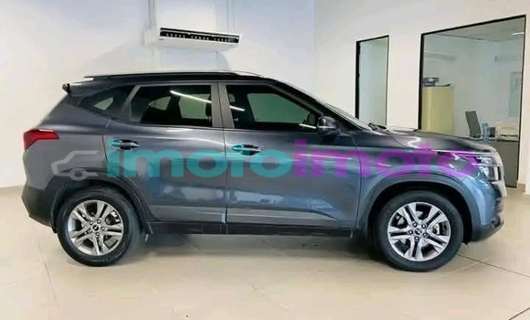 Buy Used Kia Sorento Other Car in Bela-Bela in Limpopo Buy Used Kia Sorento Other Car in Bela-Bela in Limpopo