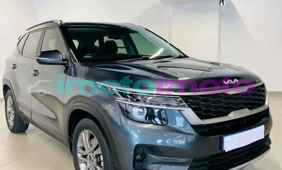 Buy Used Kia Sorento Other Car in Bela-Bela in Limpopo Buy Used Kia Sorento Other Car in Bela-Bela in Limpopo