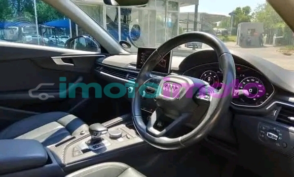 Buy Used Audi A4 Other Car in Dendron in Limpopo Buy Used Audi A4 Other Car in Dendron in Limpopo