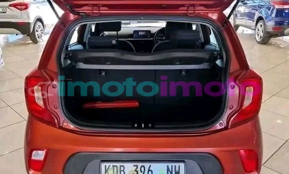 Buy Used Kia Picanto Orange Car in Boksburg in Gauteng Buy Used Kia Picanto Orange Car in Boksburg in Gauteng