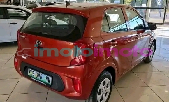 Buy Used Kia Picanto Orange Car in Boksburg in Gauteng Buy Used Kia Picanto Orange Car in Boksburg in Gauteng
