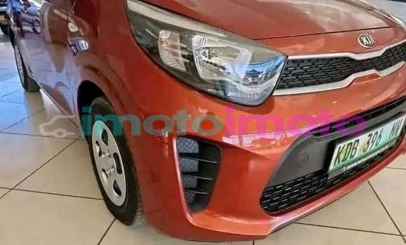 Buy Used Kia Picanto Orange Car in Boksburg in Gauteng Buy Used Kia Picanto Orange Car in Boksburg in Gauteng