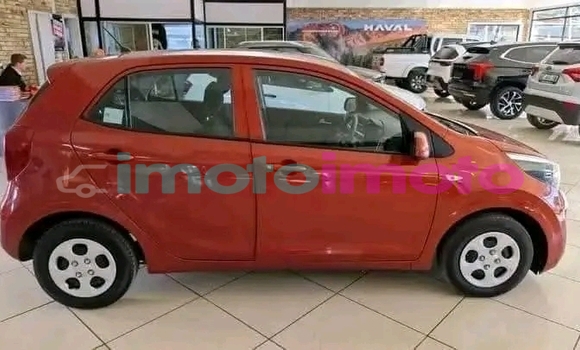 Buy Used Kia Picanto Orange Car in Boksburg in Gauteng Buy Used Kia Picanto Orange Car in Boksburg in Gauteng