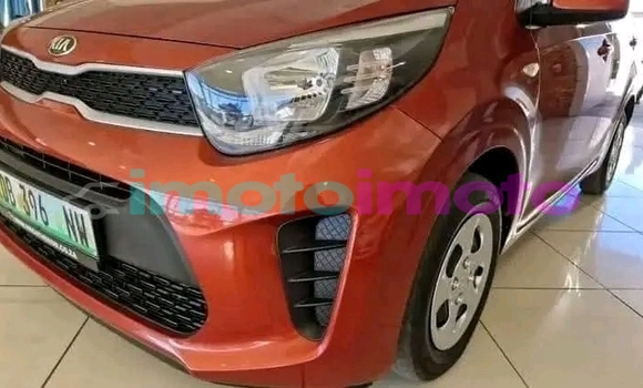 Buy Used Kia Picanto Orange Car in Boksburg in Gauteng Buy Used Kia Picanto Orange Car in Boksburg in Gauteng