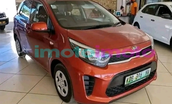 Buy Used Kia Picanto Orange Car in Boksburg in Gauteng Buy Used Kia Picanto Orange Car in Boksburg in Gauteng
