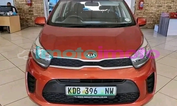 Buy Used Kia Picanto Orange Car in Boksburg in Gauteng Buy Used Kia Picanto Orange Car in Boksburg in Gauteng