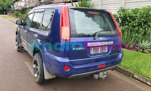 Buy Used Nissan X-Trail Brown Car in Duiwelskloof in Limpopo Buy Used Nissan X-Trail Brown Car in Duiwelskloof in Limpopo