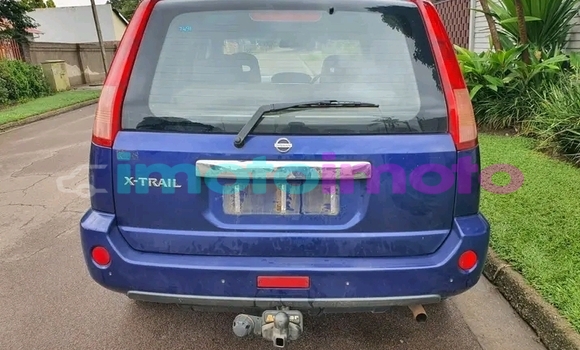 Buy Used Nissan X-Trail Brown Car in Duiwelskloof in Limpopo Buy Used Nissan X-Trail Brown Car in Duiwelskloof in Limpopo