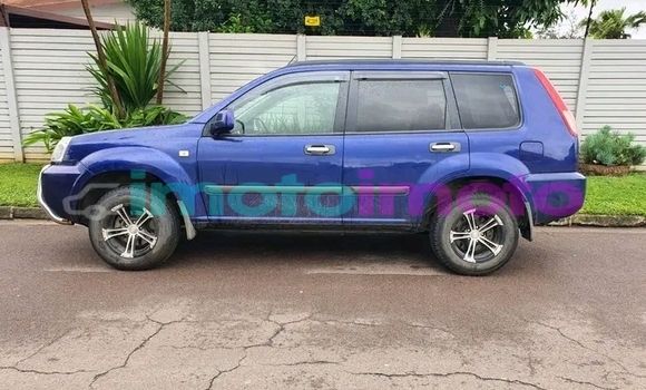 Buy Used Nissan X-Trail Brown Car in Duiwelskloof in Limpopo Buy Used Nissan X-Trail Brown Car in Duiwelskloof in Limpopo