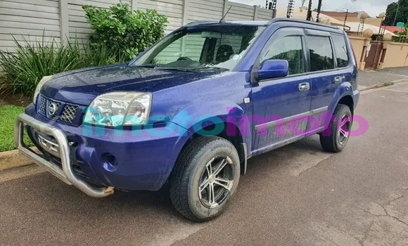 Buy Used Nissan X-Trail Brown Car in Duiwelskloof in Limpopo Buy Used Nissan X-Trail Brown Car in Duiwelskloof in Limpopo