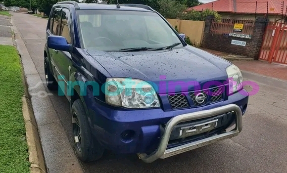 Buy Used Nissan X-Trail Brown Car in Duiwelskloof in Limpopo Buy Used Nissan X-Trail Brown Car in Duiwelskloof in Limpopo
