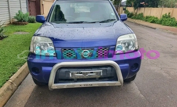 Buy Used Nissan X-Trail Brown Car in Duiwelskloof in Limpopo Buy Used Nissan X-Trail Brown Car in Duiwelskloof in Limpopo