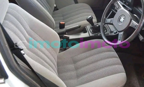 Buy Used BMW 3–Series White Car in Dendron in Limpopo Buy Used BMW 3–Series White Car in Dendron in Limpopo