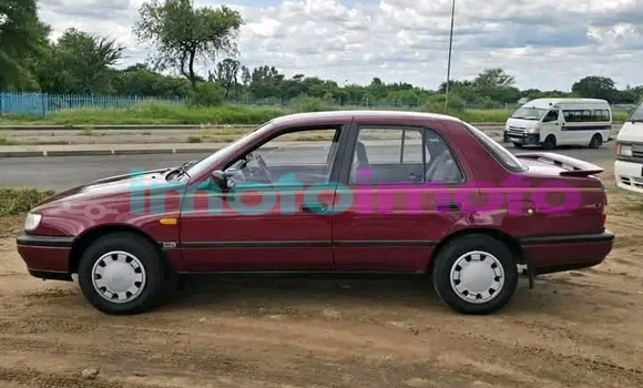 Buy Used Nissan Sentra Red Car in Bryanston in Gauteng Buy Used Nissan Sentra Red Car in Bryanston in Gauteng