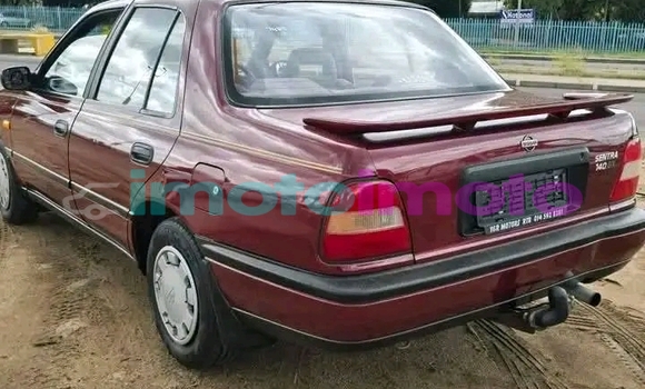 Buy Used Nissan Sentra Red Car in Bryanston in Gauteng Buy Used Nissan Sentra Red Car in Bryanston in Gauteng