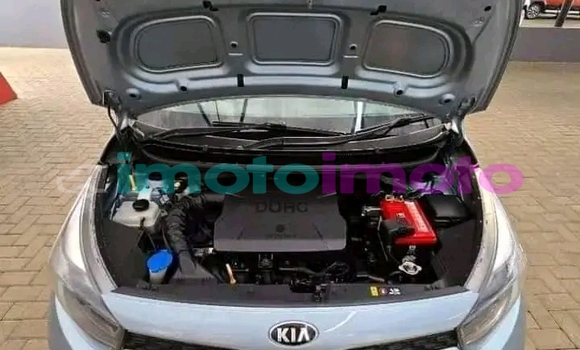Buy Used Kia Picanto Other Car in Carltonville in Gauteng Buy Used Kia Picanto Other Car in Carltonville in Gauteng