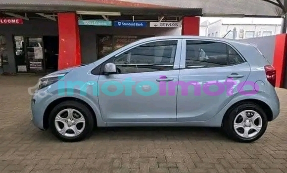 Buy Used Kia Picanto Other Car in Carltonville in Gauteng Buy Used Kia Picanto Other Car in Carltonville in Gauteng